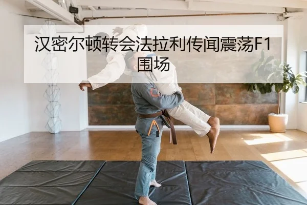han-mi-er-dun-zhuan-hui-fa-la-li-chuan-wen-zhen-dang-wei-chang-2-818.jpg